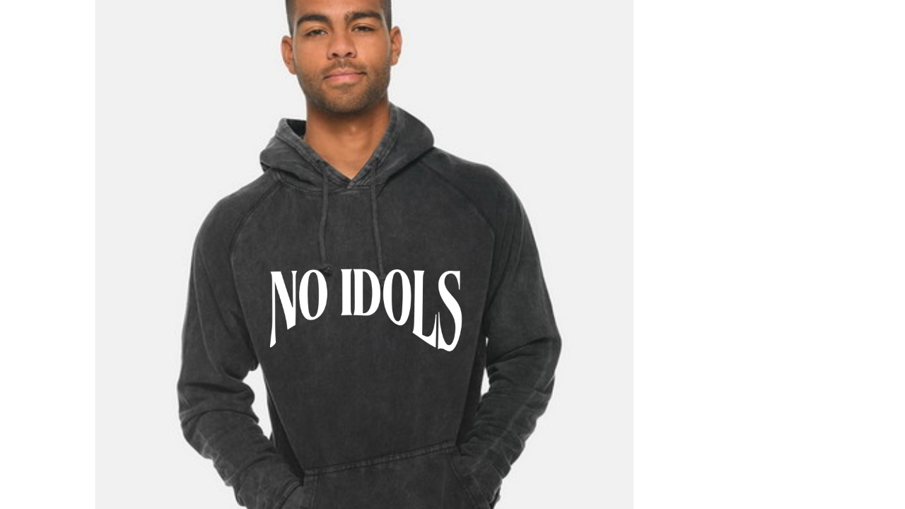 No IDOLS- hoodie