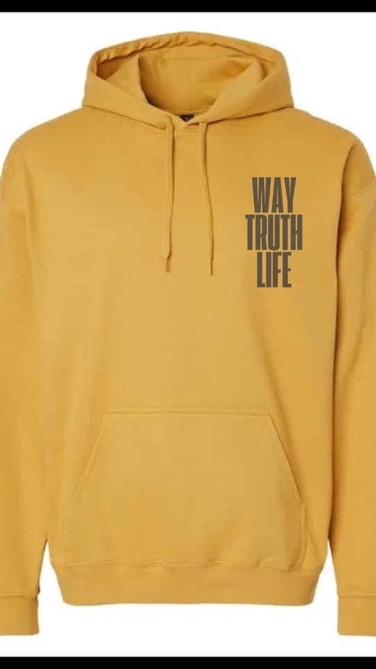 WAY TRUTH LIFE- JESUS HOODIE STYLE