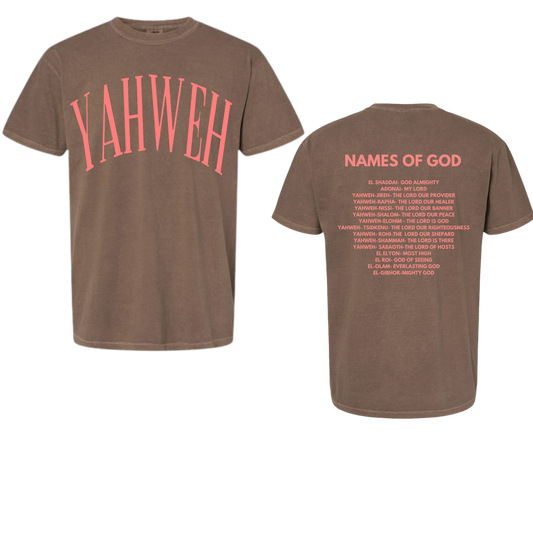 YAHWEH ESPRESSO BROWN & PINK (REGULAR FIT TEE)